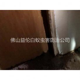 南海房屋防治白蚁工程